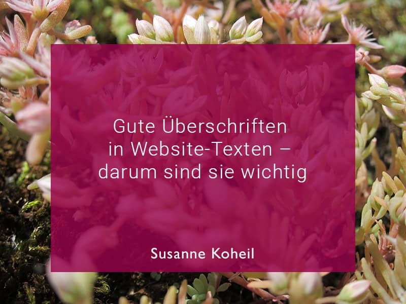 Gute Überschriften in Website-Texten – darum sind sie wichtig